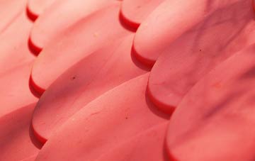 Prendergast plastic roof costs