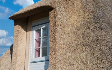 Prendergast thatch roof disadvantages